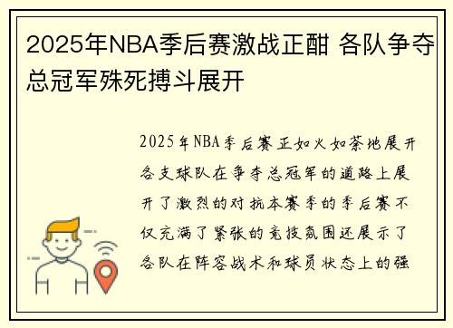 2025年NBA季后赛激战正酣 各队争夺总冠军殊死搏斗展开
