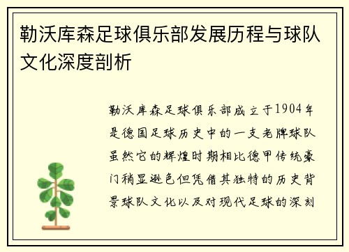 勒沃库森足球俱乐部发展历程与球队文化深度剖析