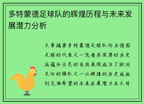 多特蒙德足球队的辉煌历程与未来发展潜力分析