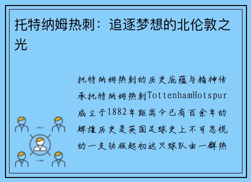 托特纳姆热刺：追逐梦想的北伦敦之光