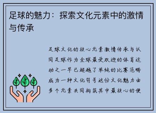 足球的魅力：探索文化元素中的激情与传承